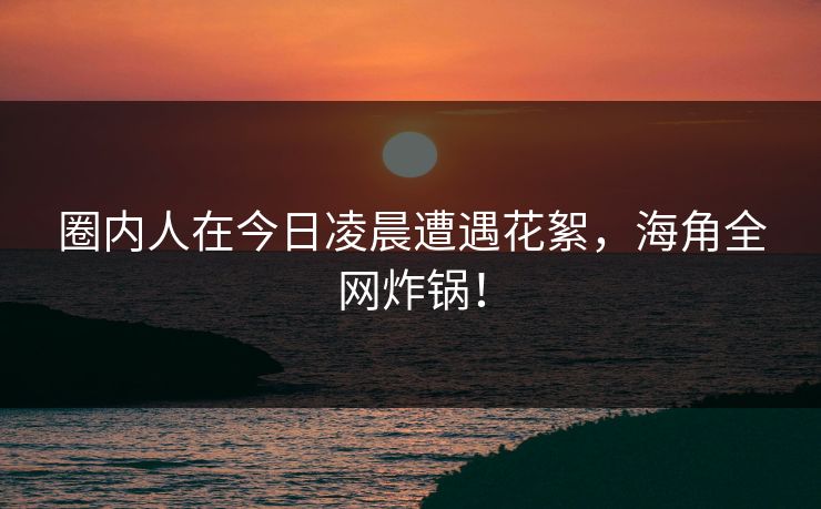圈内人在今日凌晨遭遇花絮，海角全网炸锅！