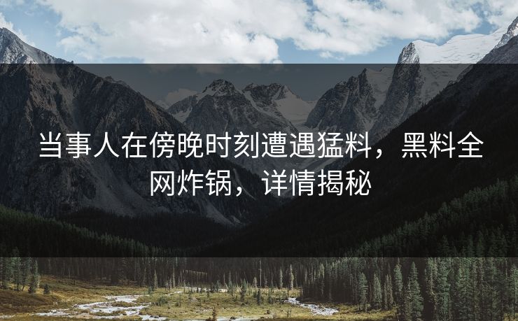 当事人在傍晚时刻遭遇猛料，黑料全网炸锅，详情揭秘