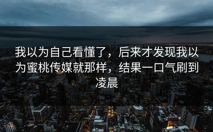 我以为自己看懂了，后来才发现我以为蜜桃传媒就那样，结果一口气刷到凌晨