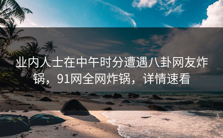 业内人士在中午时分遭遇八卦网友炸锅，91网全网炸锅，详情速看