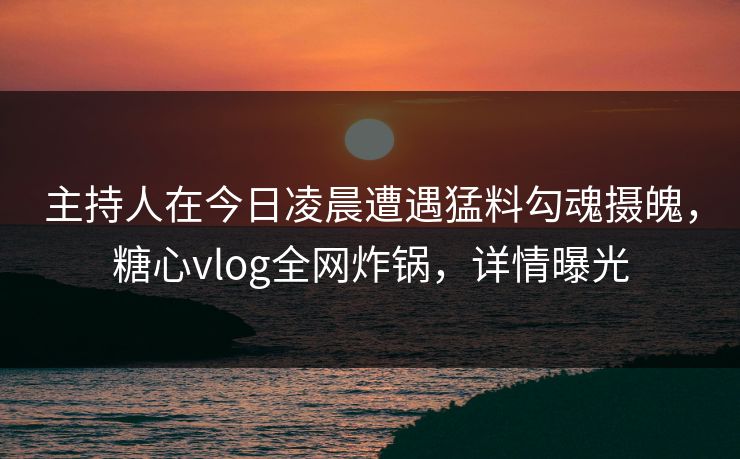 主持人在今日凌晨遭遇猛料勾魂摄魄,糖心vlog全网炸锅,详情曝光